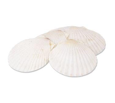 Alegacy 664 Natural Baking Shell For Cooking And Serving, 5"