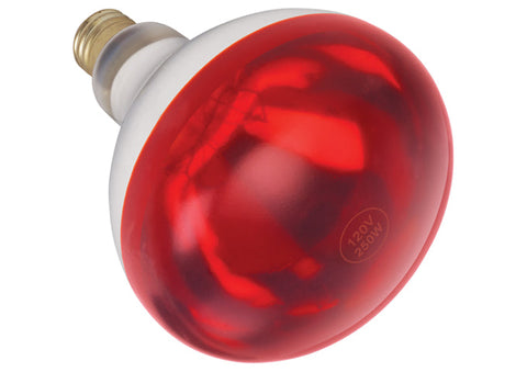 Winco EHL-BR Heat Lamp Bulb, for EHL-2, 250 watt, red